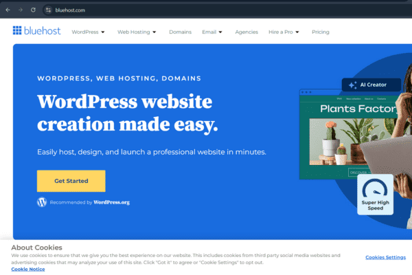 Wordpress Website